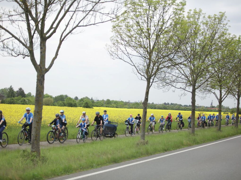 Ein langgezogenes Band Radfahrer verschiedenen Alters fährt auf einem Radweg an einem leuchtenden Rapsfeld vorbei.