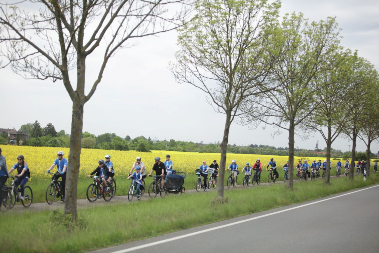 Ein langgezogenes Band Radfahrer verschiedenen Alters fährt auf einem Radweg an einem leuchtenden Rapsfeld vorbei.